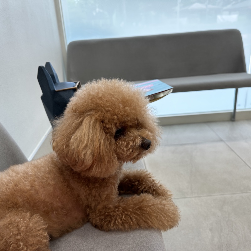 건강검진 했어요