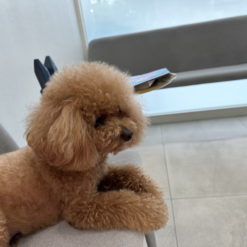 건강검진 했어요