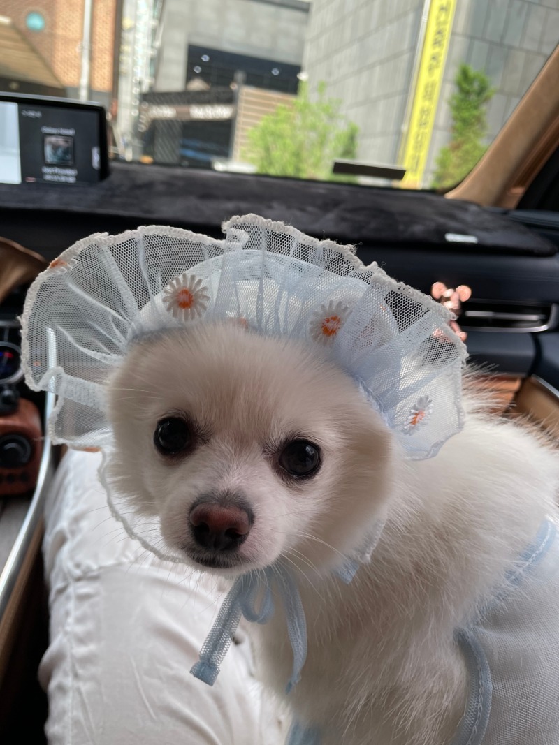 모자 잘 안쓰려고 하네요 ㅎㅎ