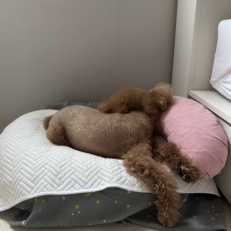 비는 싫어요
