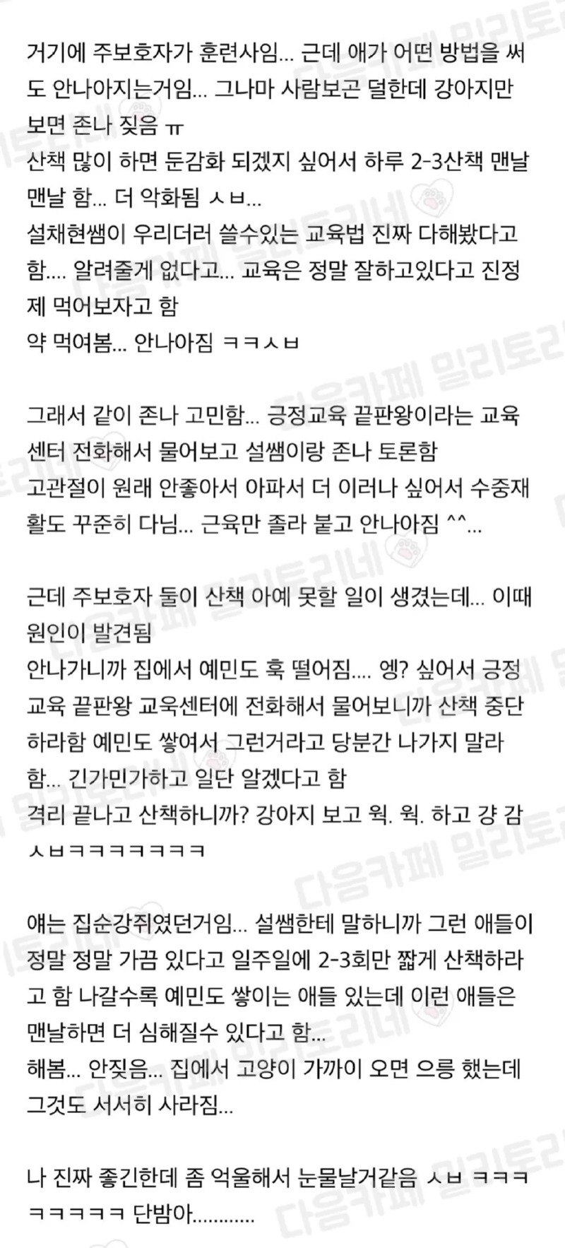 강아지의 산책과 교육의 상관관계 