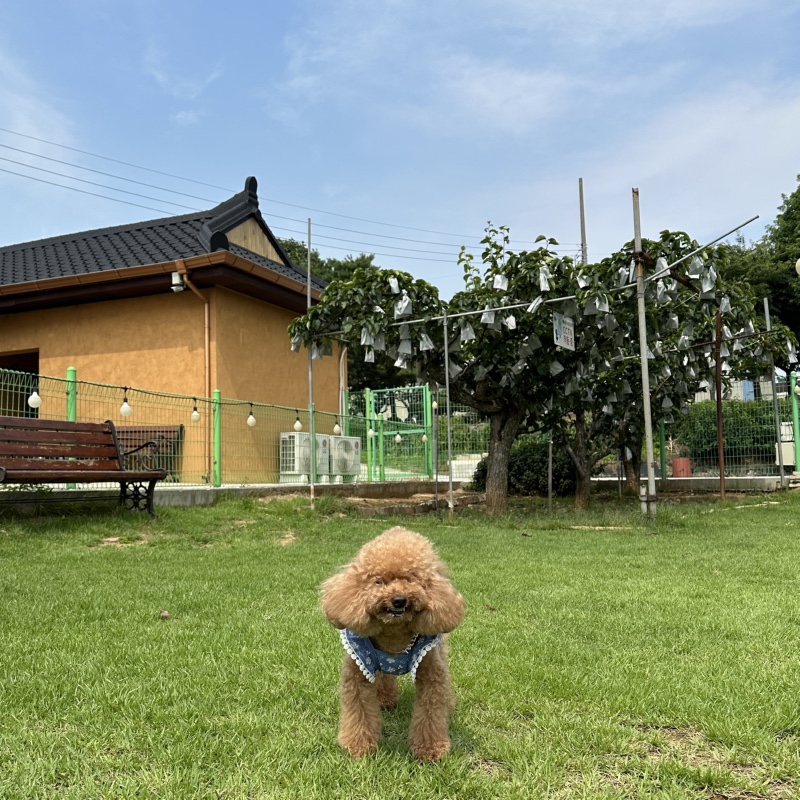폭염이에요