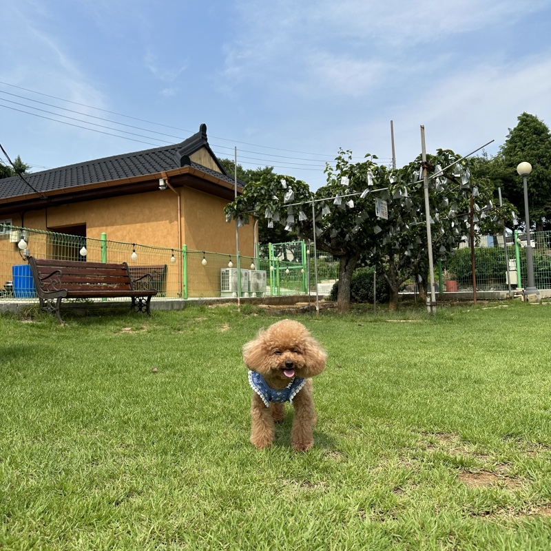 폭염이에요