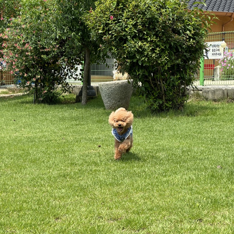 폭염이에요