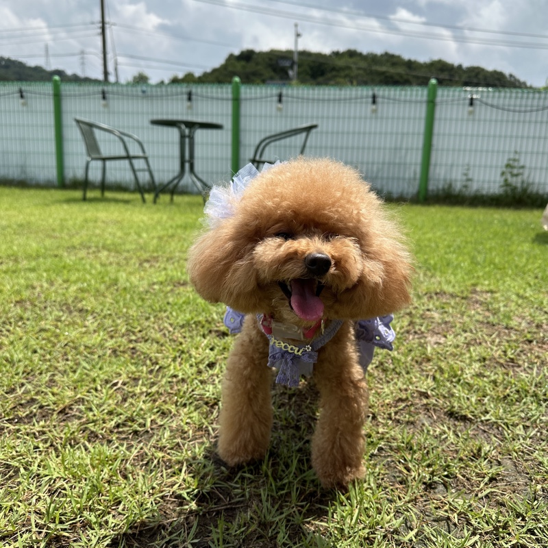날씨가 이상해요