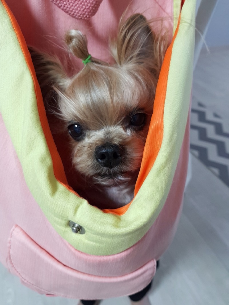 ♡♡