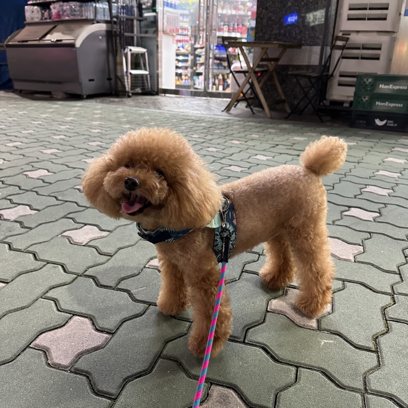 밤 열시도 더워요