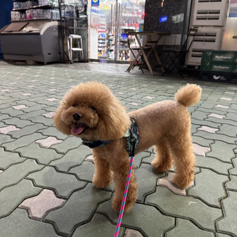 밤 열시도 더워요