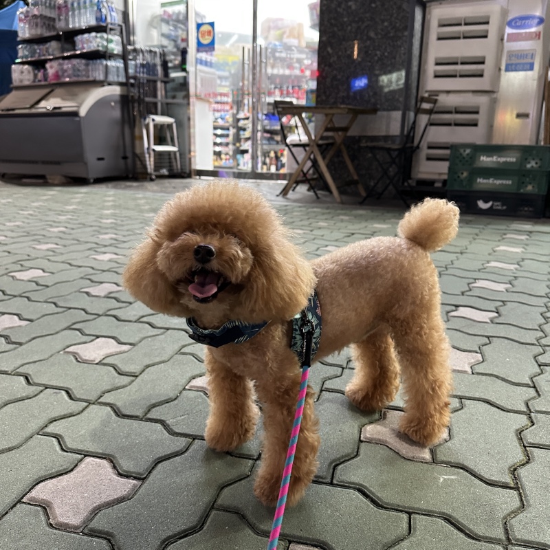 밤 열시도 더워요