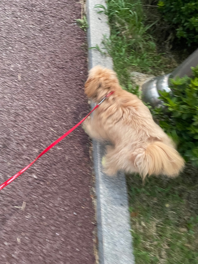 오늘산책끝