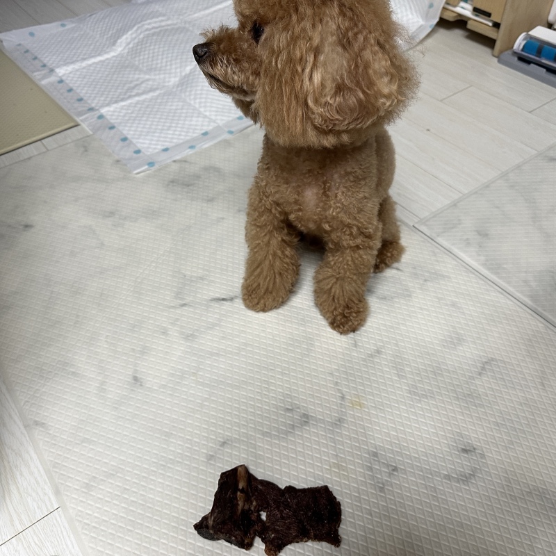 기다려는 힘들어
