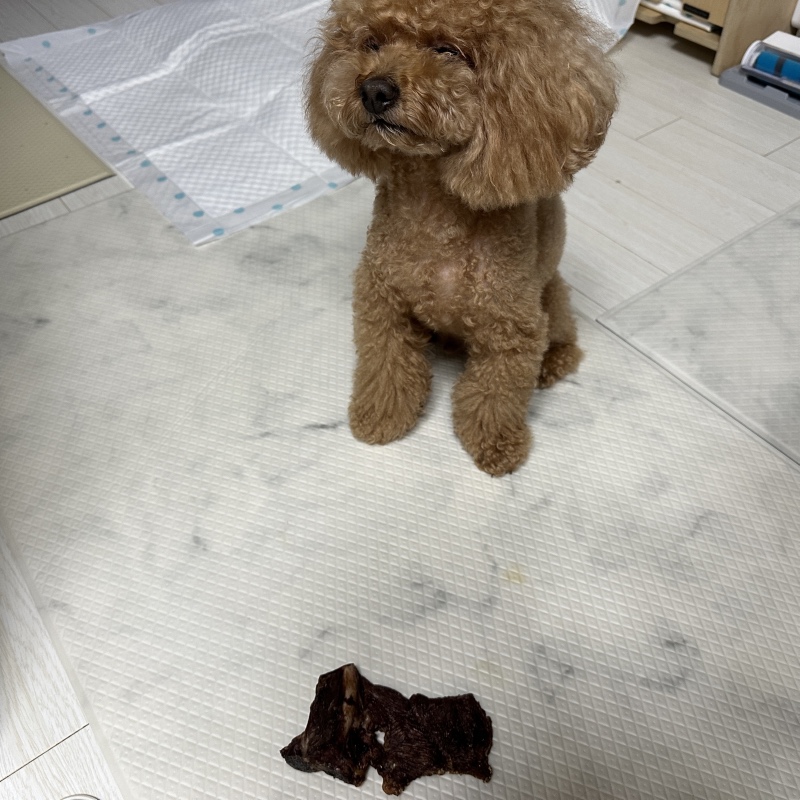 기다려는 힘들어