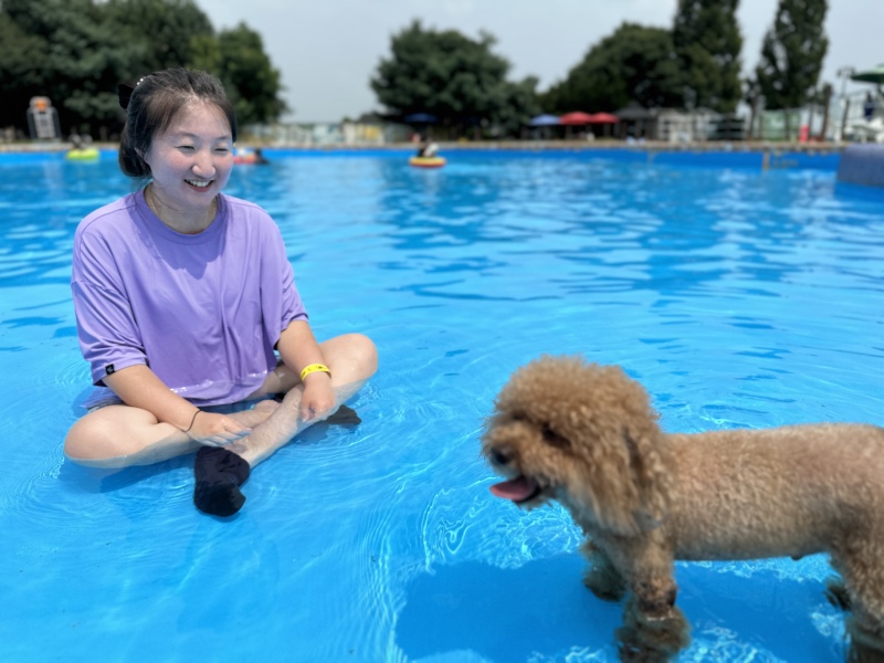 넓고 친절하고 더할나위없이 좋았던 원더풀도그베이