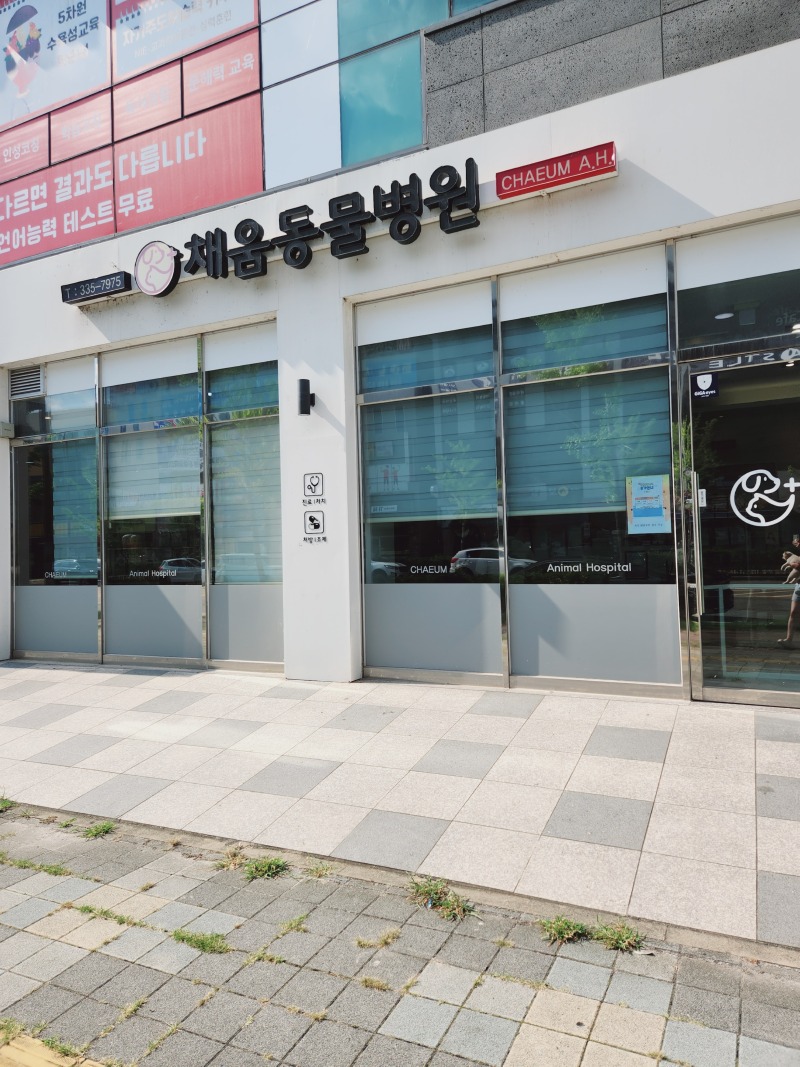 피부농피증으로 채움동물병원다녀왔어요