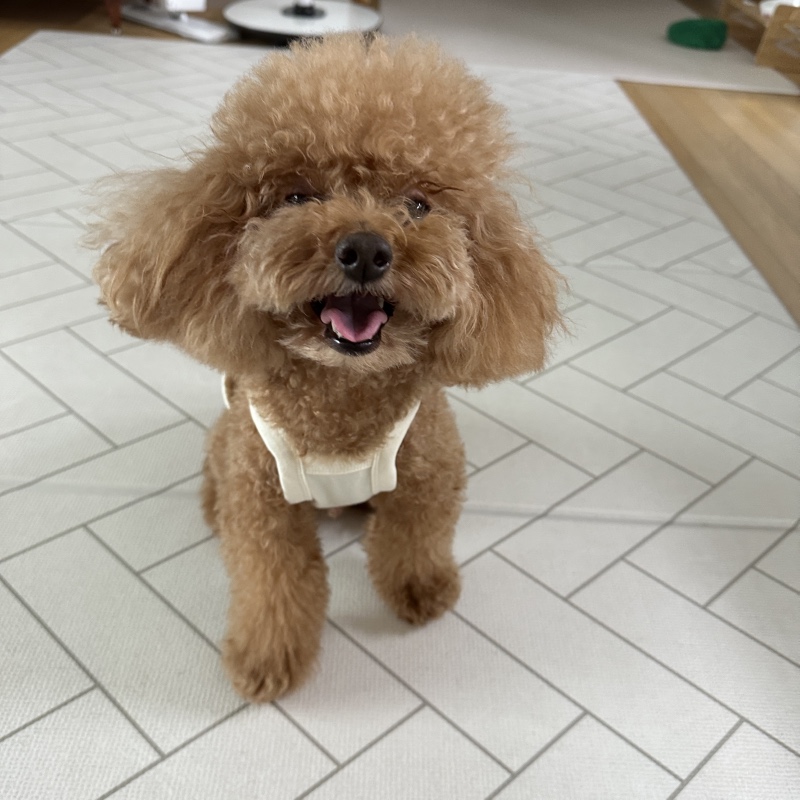 비오는날은 친구집에서 놀아요