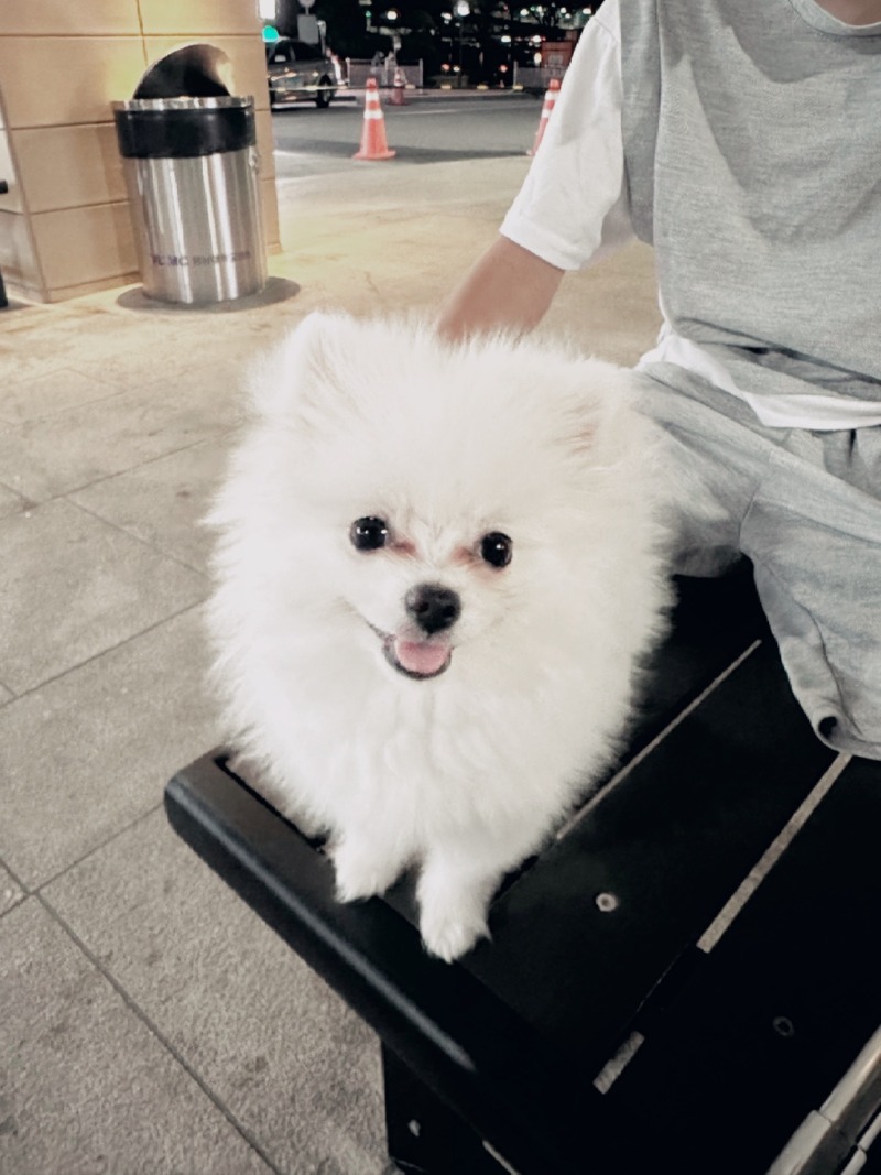14주차 애깅