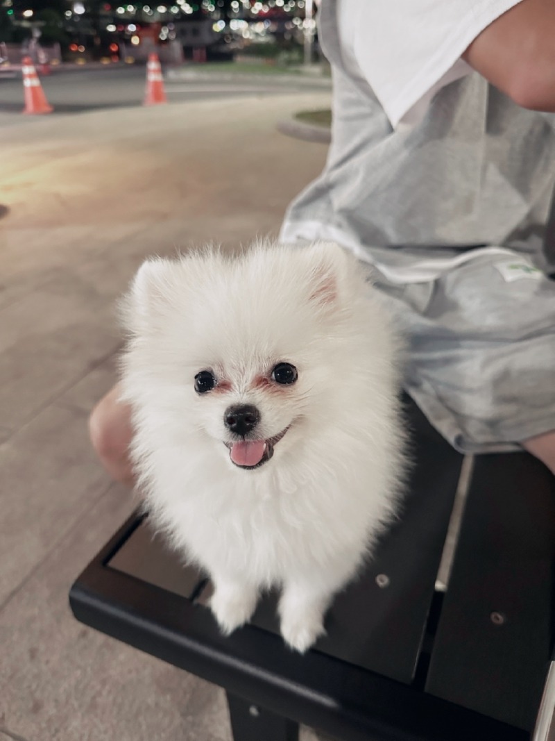 14주차 애깅