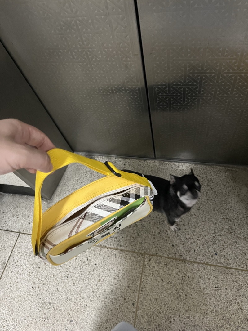 [오올치유치원]강추합니다