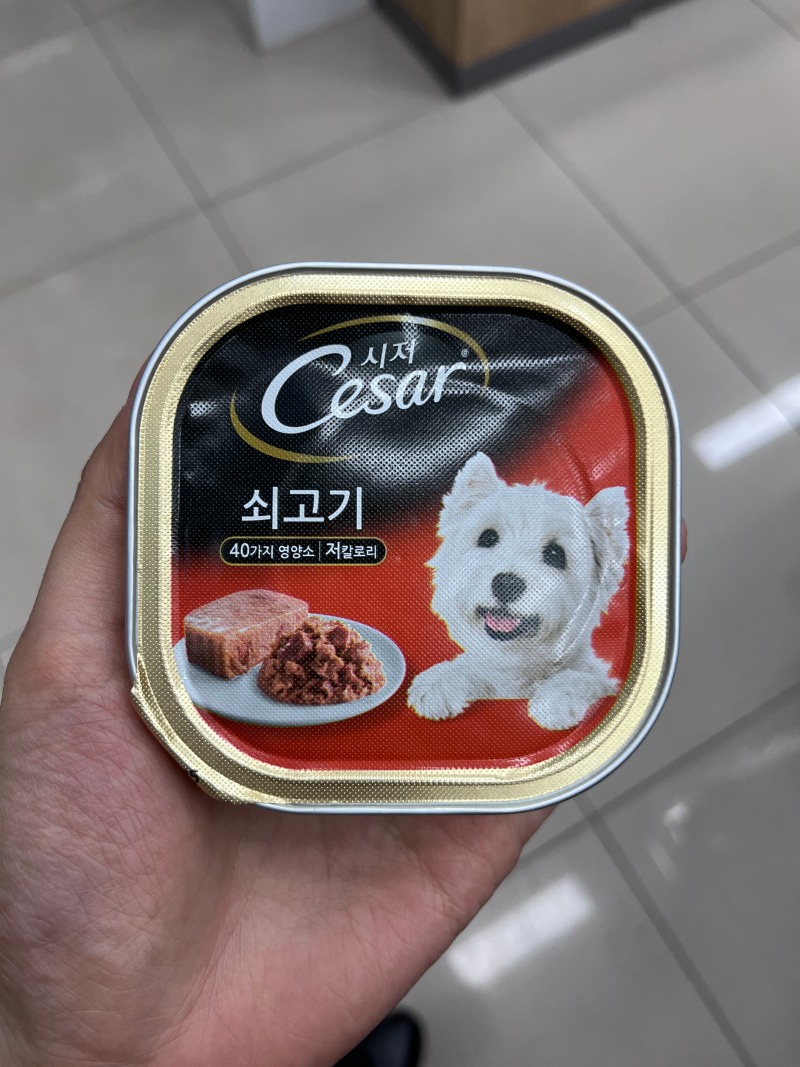 KakaoTalk_20230816_131308040.jpg