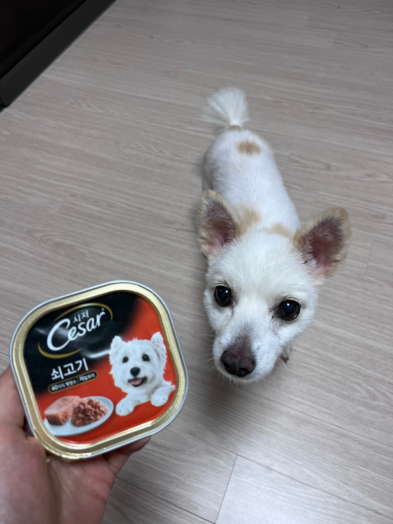 KakaoTalk_20230816_131308040_01.jpg