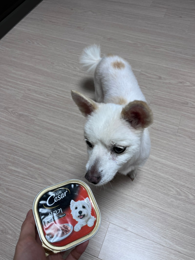 KakaoTalk_20230816_131308040_02.jpg