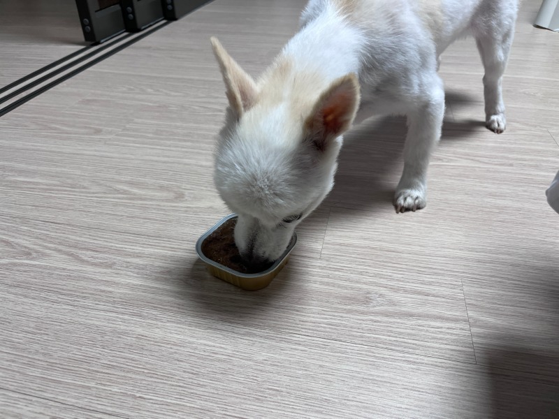 KakaoTalk_20230816_131308040_04.jpg