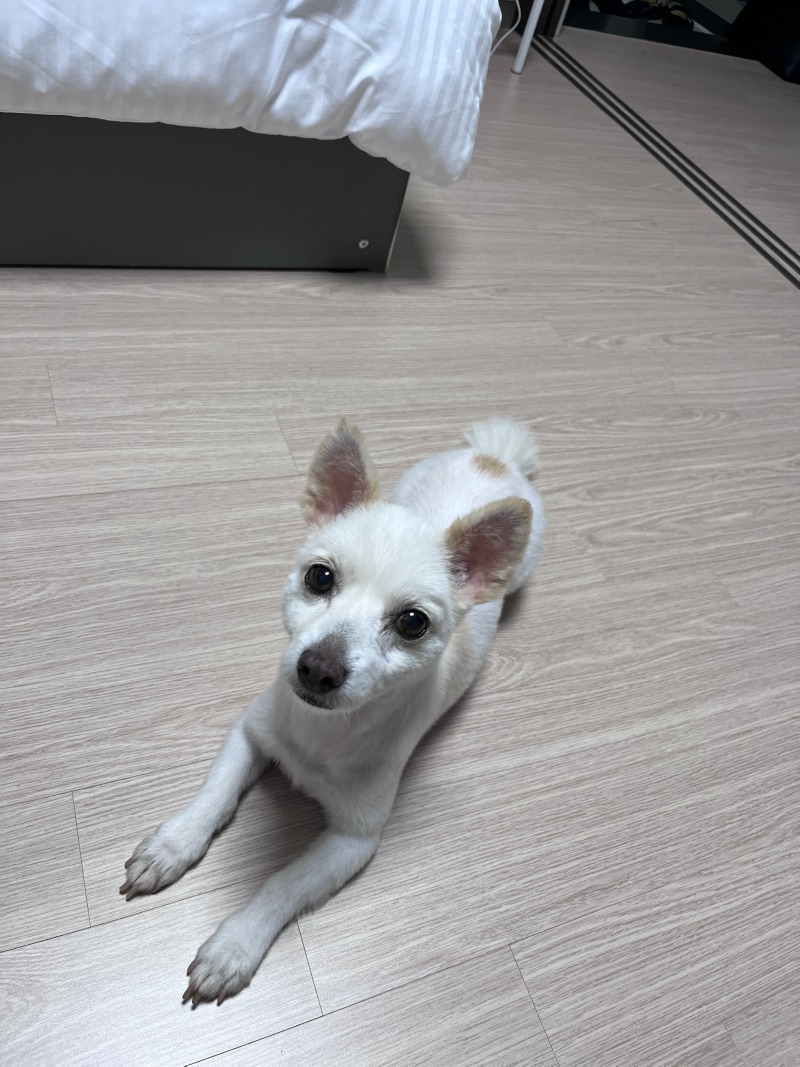 KakaoTalk_20230816_131308040_05.jpg