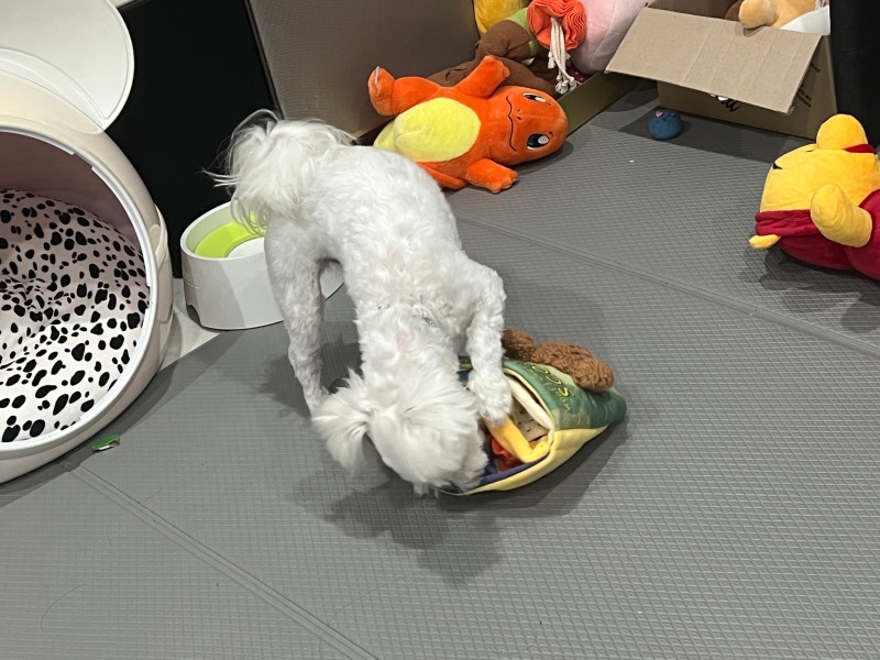 노츠워크에 목숨건 이들 ㅋㅋㅋㅋ