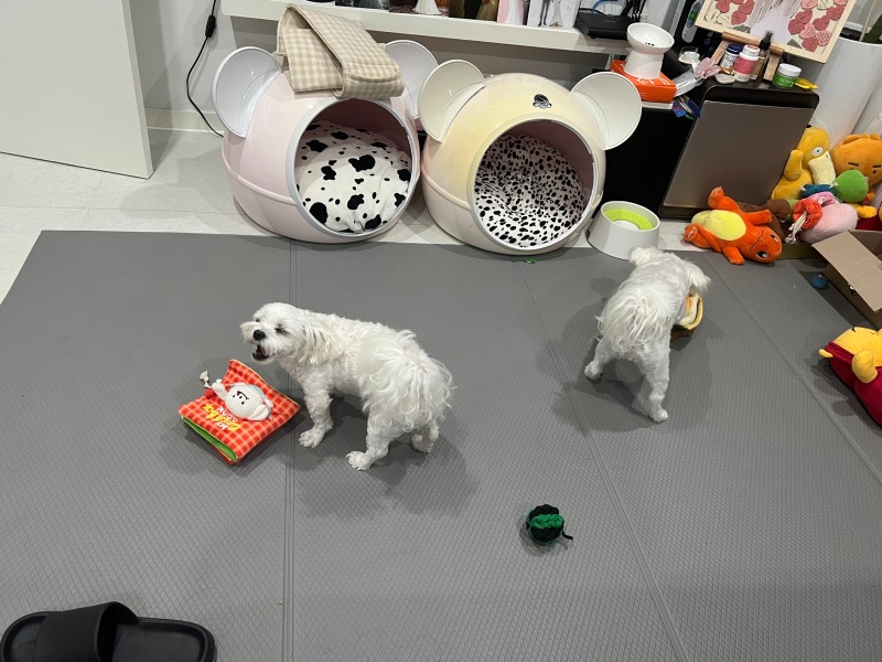 노츠워크에 목숨건 이들 ㅋㅋㅋㅋ