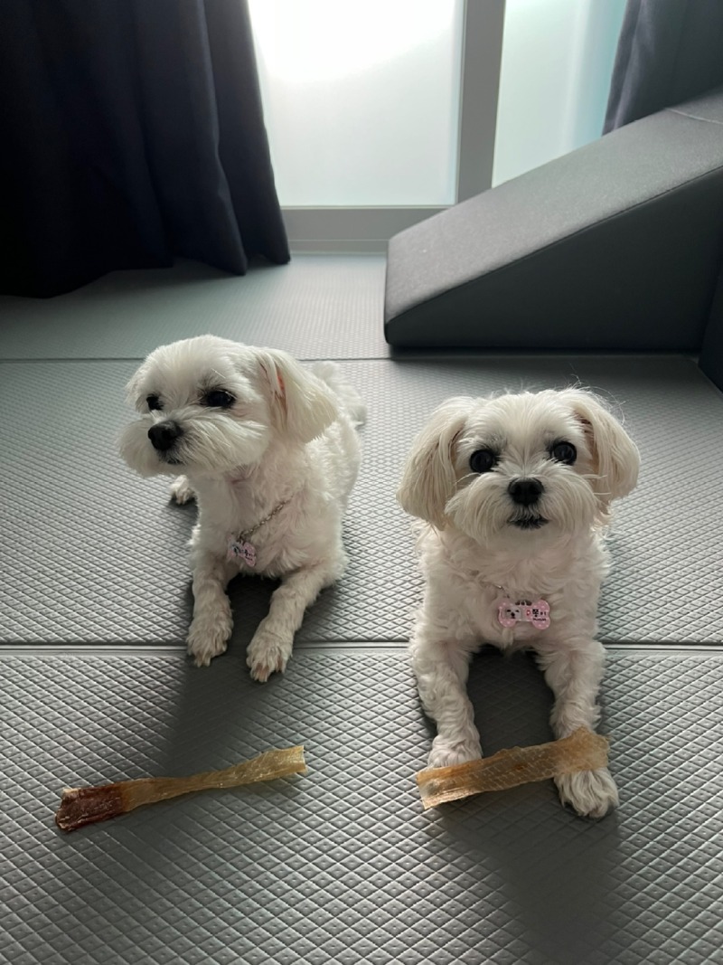 KakaoTalk_20230824_184959567.jpg