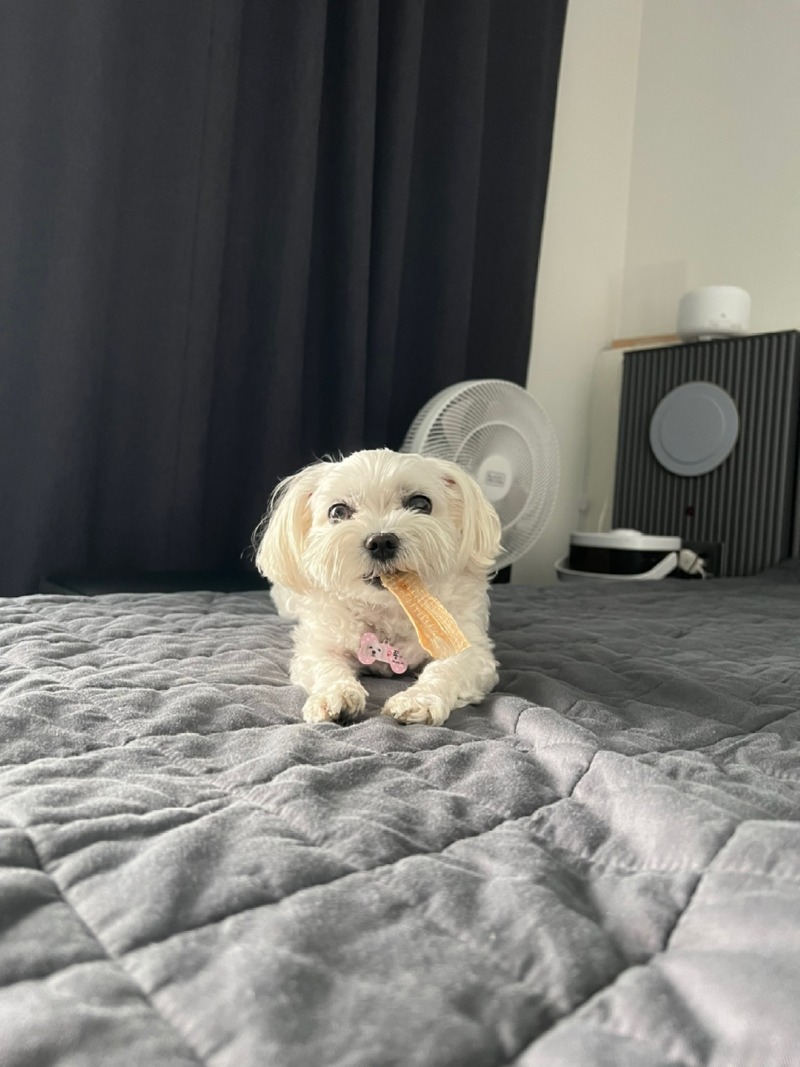KakaoTalk_20230824_184959567_01.jpg