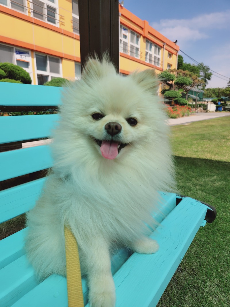 산책은 언제나 신나요