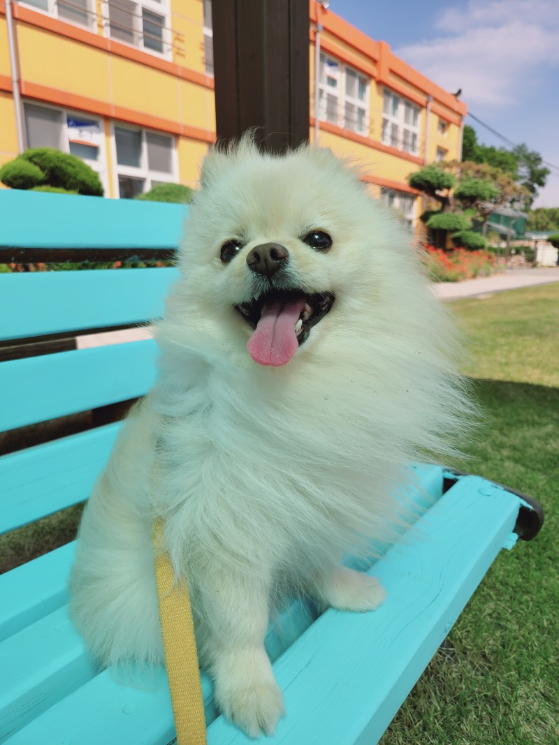 산책은 언제나 신나요