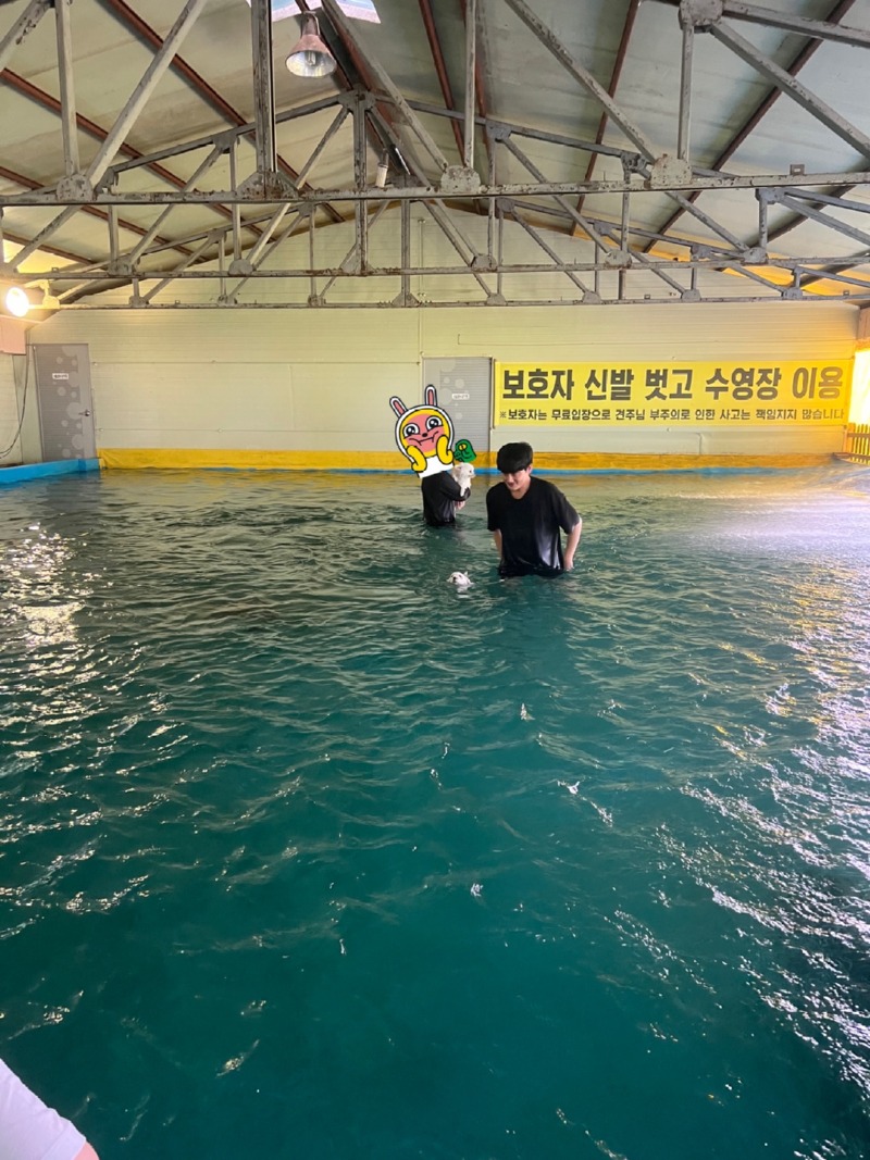 경상북도 칠곡에 위치한 프렌드도그파크 방문후기
