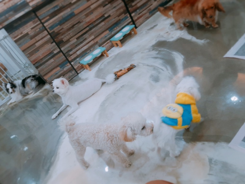 미니언즈와 카페방문 ㅎㅎㅎ