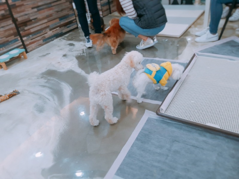 미니언즈와 카페방문 ㅎㅎㅎ
