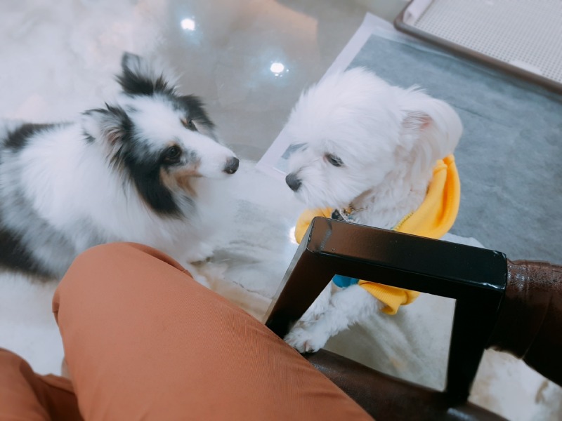 미니언즈와 카페방문 ㅎㅎㅎ