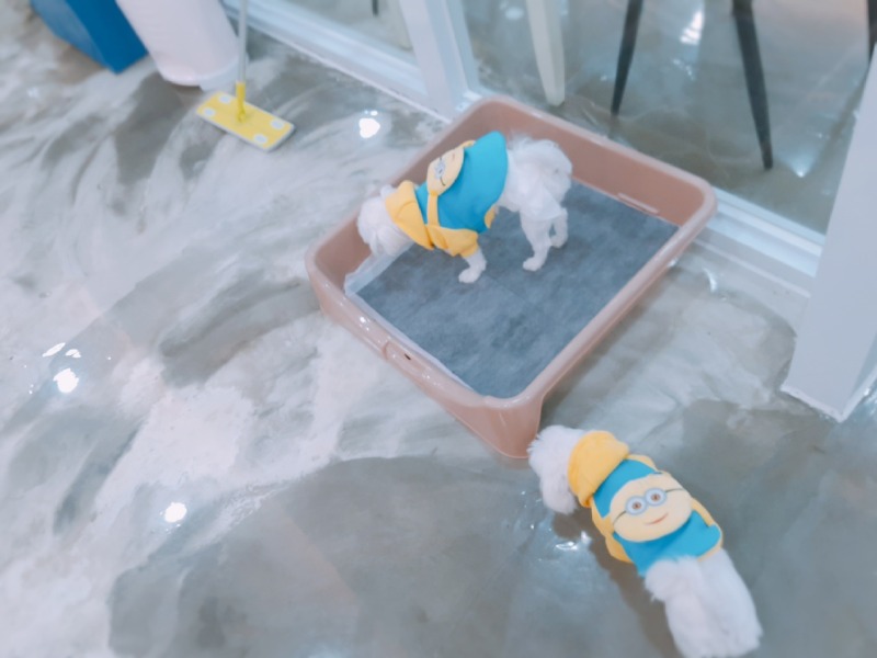 미니언즈와 카페방문 ㅎㅎㅎ
