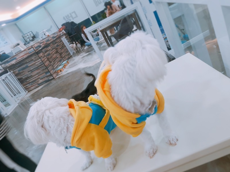 미니언즈와 카페방문 ㅎㅎㅎ