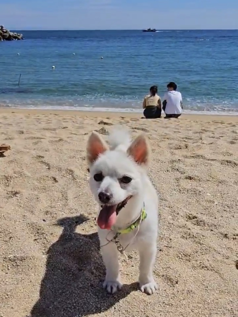 아직도 밖에 나가면 덥기는 덥네요