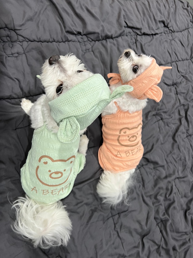 쇼핑끝난 콩쫑이 