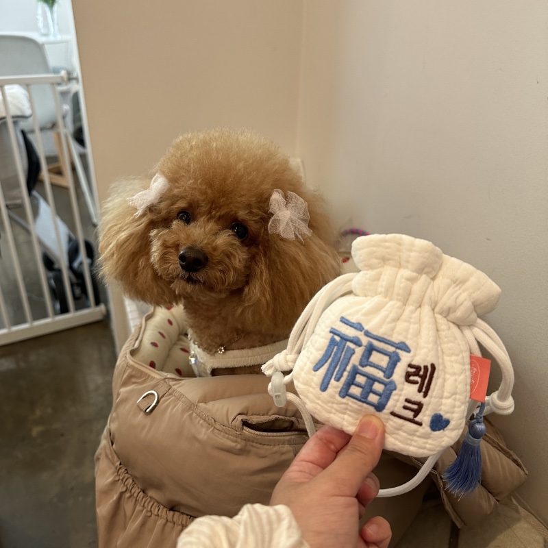 오랜만이에요