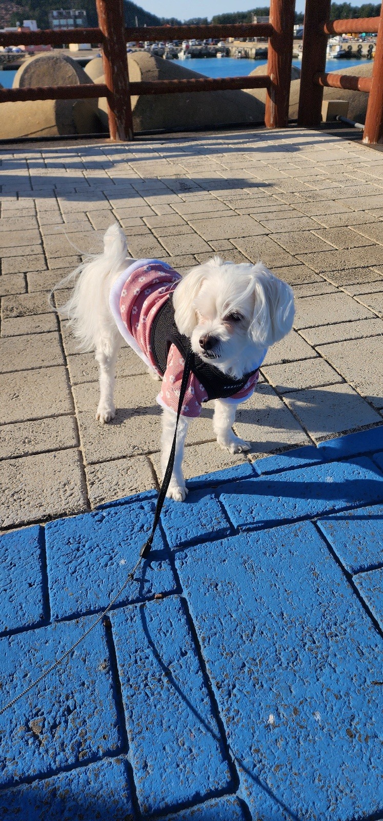 오랫만에하는 산책~