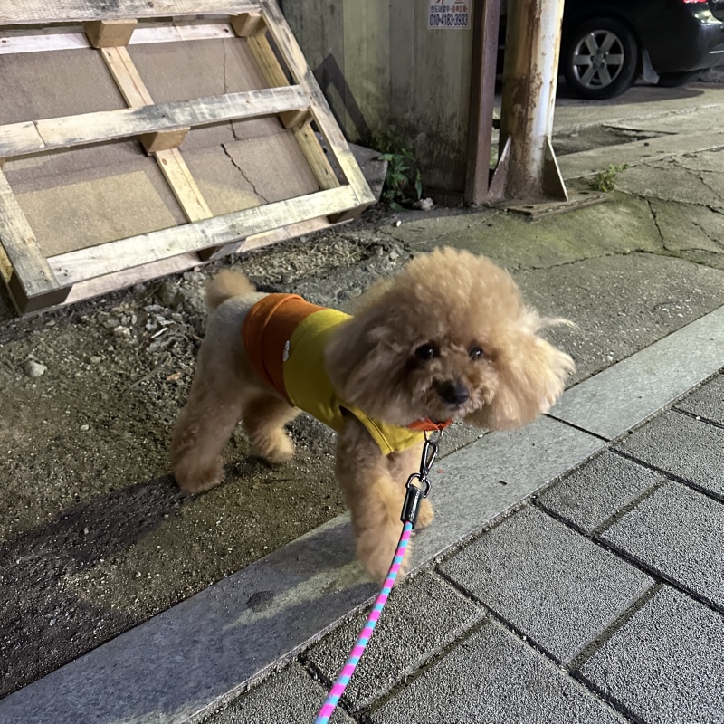 산책은 즐거워