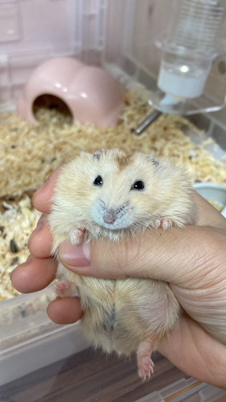 처음뵙겠습니다!!