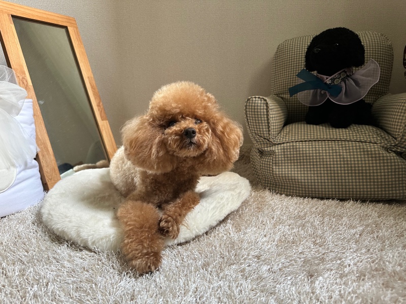 친구집도 내집처럼