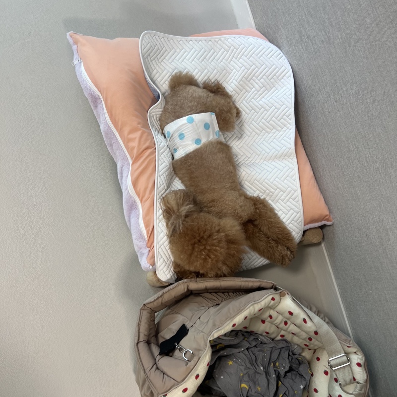 친구집도 내집처럼