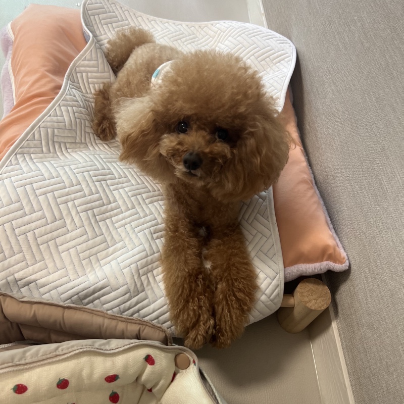 친구집도 내집처럼