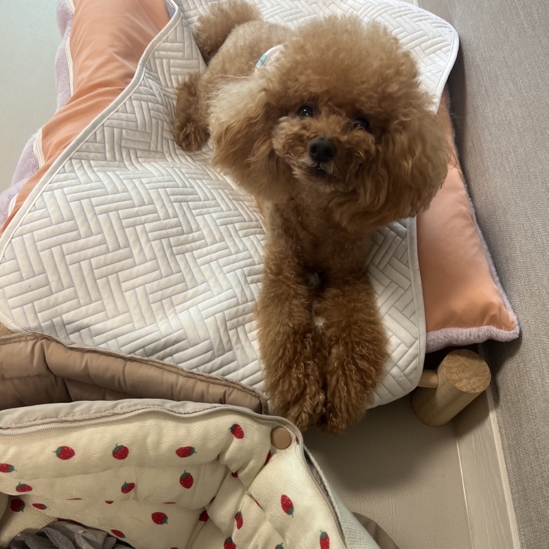 친구집도 내집처럼