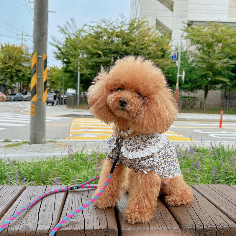 가을이 좋네요